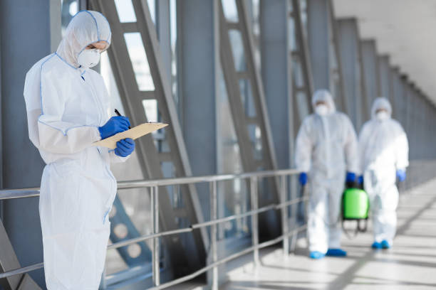 Best Emergency Mold Remediation  in Evans, GA