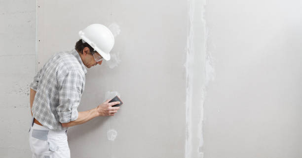 Best Post-Construction Mold Inspection  in Evans, GA
