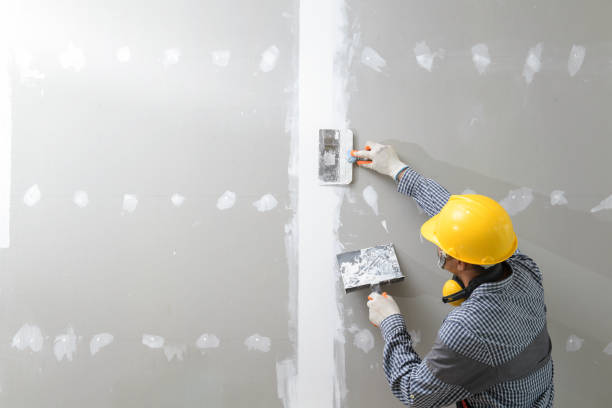 Best Commercial Mold Inspection  in Evans, GA