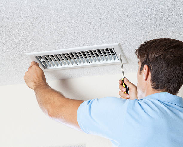 Best Emergency Mold Remediation  in Evans, GA