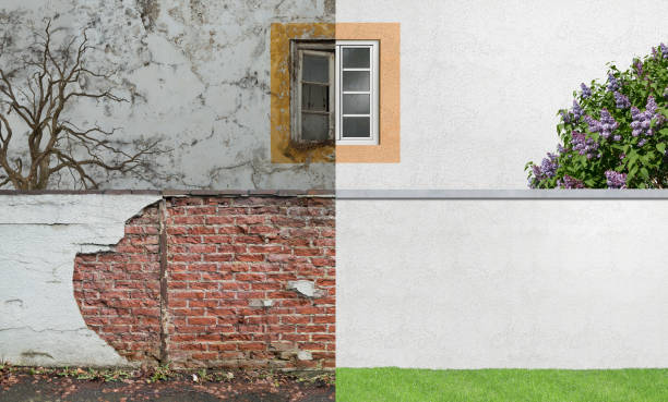 Best Basement Mold Removal  in Evans, GA