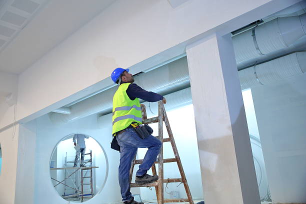Reliable Evans, GA Mold Removal Solutions